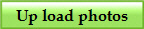 Up load photos